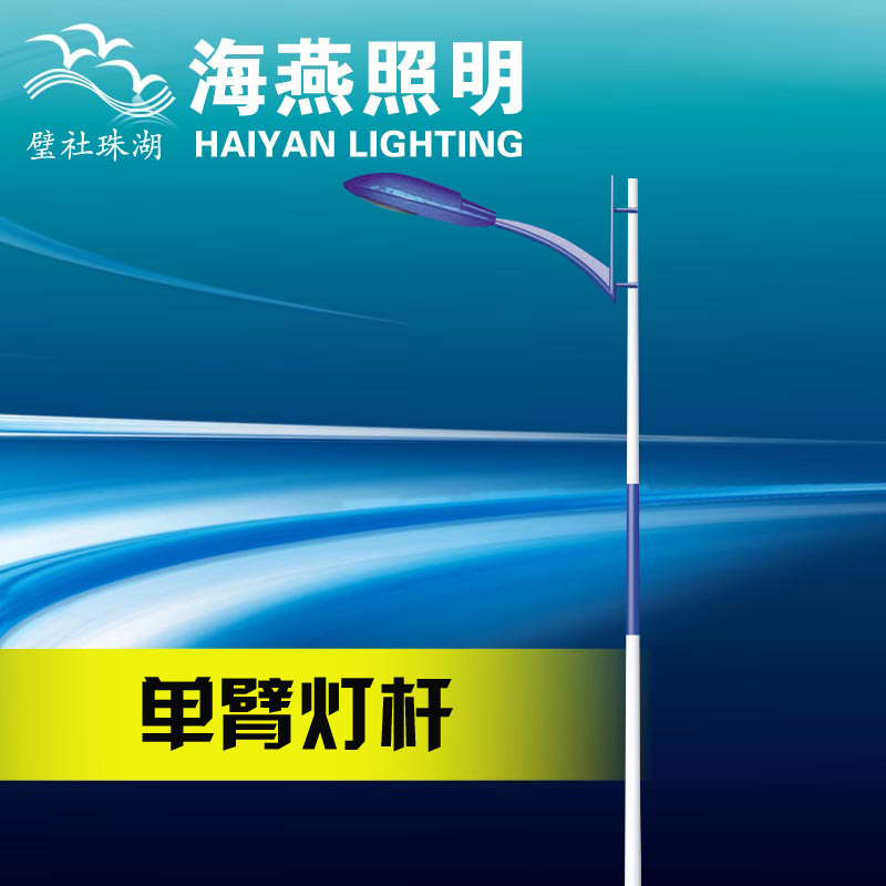 7 m single arm LED street light